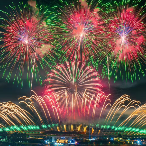 Popular Types of Consumer Fireworks for Celebrations